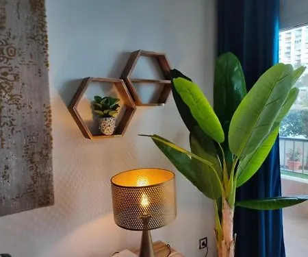 New Fabulous Beachfront Apartment